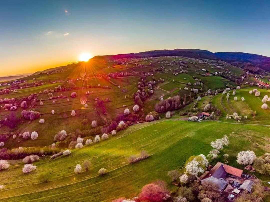 Penzion** Amalka Hriňová Eksteriør bilde