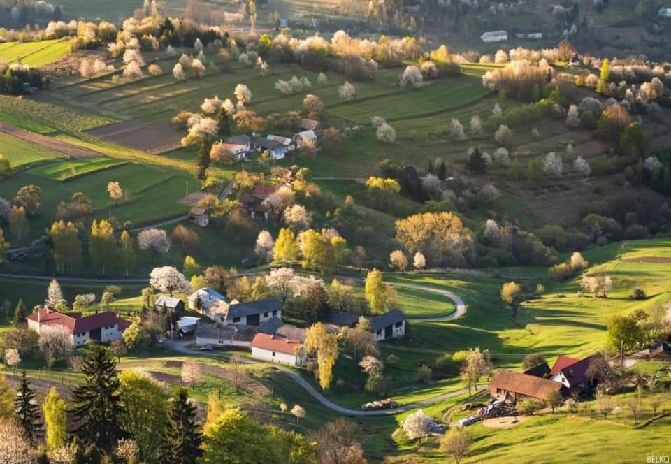 Penzion** Amalka Hriňová Eksteriør bilde